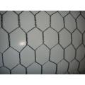 HIgh quality galvanized bird cage welded wire mesh 6x6 reinforcing welded wire